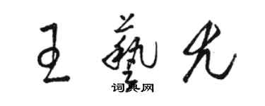 駱恆光王藝尤草書個性簽名怎么寫