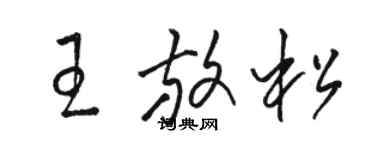 駱恆光王放鬆草書個性簽名怎么寫