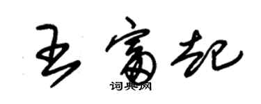 朱錫榮王富起草書個性簽名怎么寫