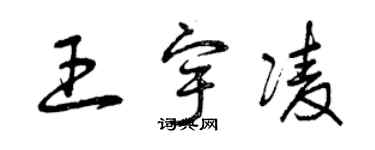 曾慶福王宇凌草書個性簽名怎么寫