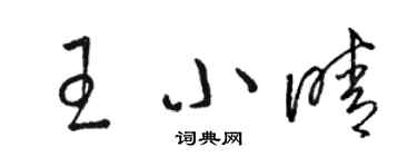 駱恆光王小晴草書個性簽名怎么寫