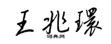 王正良王兆環行書個性簽名怎么寫