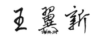 駱恆光王翼新行書個性簽名怎么寫