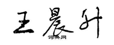 曾慶福王晨升行書個性簽名怎么寫