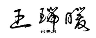 曾慶福王瑞暖草書個性簽名怎么寫