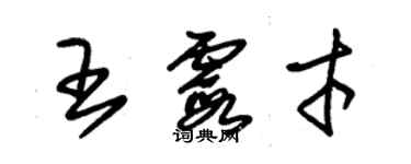 朱錫榮王霞才草書個性簽名怎么寫