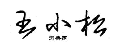 朱錫榮王小松草書個性簽名怎么寫