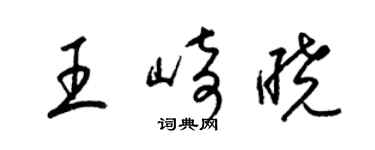 梁錦英王崎曉草書個性簽名怎么寫