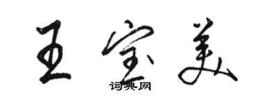 駱恆光王寶美行書個性簽名怎么寫