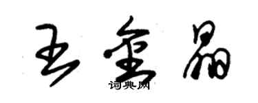 朱錫榮王金晶草書個性簽名怎么寫