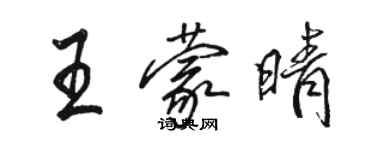 駱恆光王蒙晴行書個性簽名怎么寫