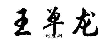 胡問遂王單龍行書個性簽名怎么寫