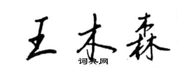 王正良王木森行書個性簽名怎么寫
