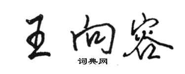 駱恆光王向容行書個性簽名怎么寫