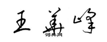 梁錦英王華峰草書個性簽名怎么寫