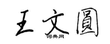 王正良王文圓行書個性簽名怎么寫