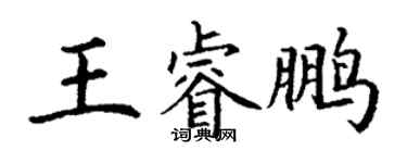 丁謙王睿鵬楷書個性簽名怎么寫