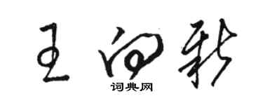 駱恆光王向新草書個性簽名怎么寫