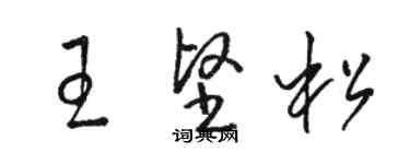 駱恆光王堅松草書個性簽名怎么寫