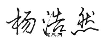 駱恆光楊浩然行書個性簽名怎么寫