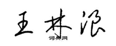 梁錦英王林浪草書個性簽名怎么寫