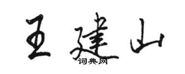 駱恆光王建山行書個性簽名怎么寫