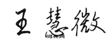 駱恆光王慧微行書個性簽名怎么寫