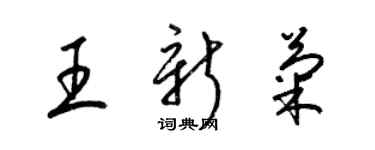 梁錦英王新菊草書個性簽名怎么寫