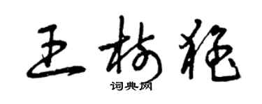 曾慶福王樹猛草書個性簽名怎么寫