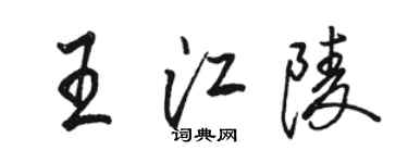 駱恆光王江陵行書個性簽名怎么寫
