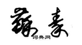 朱錫榮蘇秦草書個性簽名怎么寫