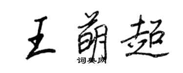 王正良王萌超行書個性簽名怎么寫