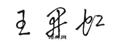 駱恆光王開虹草書個性簽名怎么寫