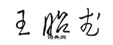 駱恆光王昭武草書個性簽名怎么寫