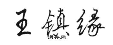 駱恆光王鎮緣行書個性簽名怎么寫