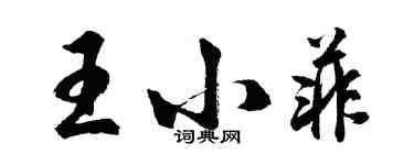 胡問遂王小菲行書個性簽名怎么寫