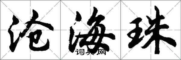 胡問遂滄海珠行書怎么寫