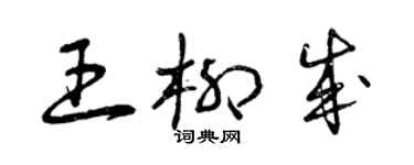 曾慶福王柳成草書個性簽名怎么寫