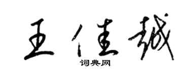 梁錦英王佳越草書個性簽名怎么寫