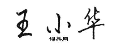 駱恆光王小華行書個性簽名怎么寫