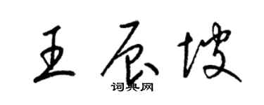 梁錦英王辰坡草書個性簽名怎么寫
