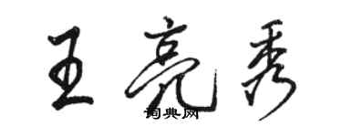 駱恆光王亮秀行書個性簽名怎么寫