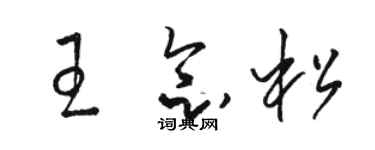 駱恆光王念松草書個性簽名怎么寫