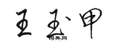 駱恆光王玉甲行書個性簽名怎么寫