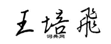 王正良王培飛行書個性簽名怎么寫