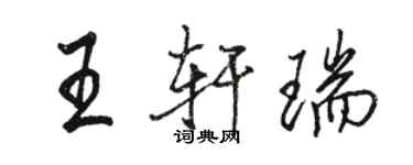 駱恆光王軒瑞行書個性簽名怎么寫