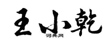 胡問遂王小乾行書個性簽名怎么寫