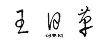 駱恆光王日革草書個性簽名怎么寫