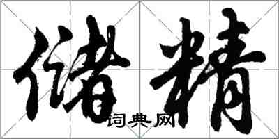 胡問遂儲精行書怎么寫