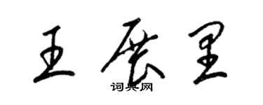 梁錦英王展里草書個性簽名怎么寫